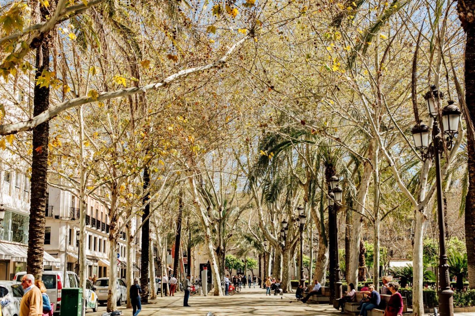 Plaza De La Magdalena I, Sevilla Centro Historico Luaran gambar